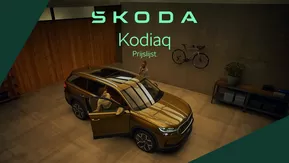 Catalogus van Škoda in Vlissingen | Škoda Kodiaq prijslijst per 25 juli 2024 | 2024-07-27T00:00:00.000Z - 2025-07-27T00:00:00.000Z